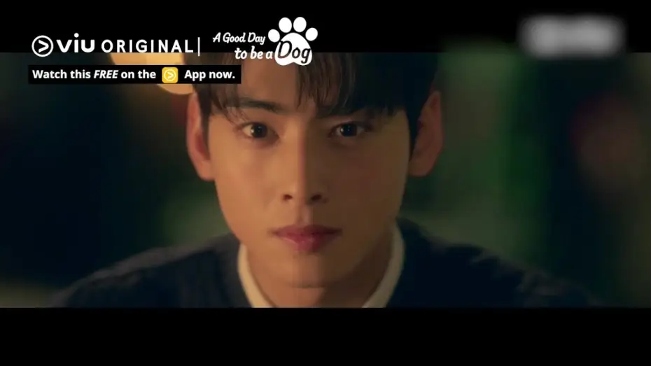Video for the series A Good Day to be a Dog — Will Cha Eun Woo Kiss the Dog Version of Park Gyu Young? [ENG SUB]