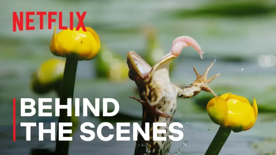 Video for the series Our Living World — Shooting Frogs