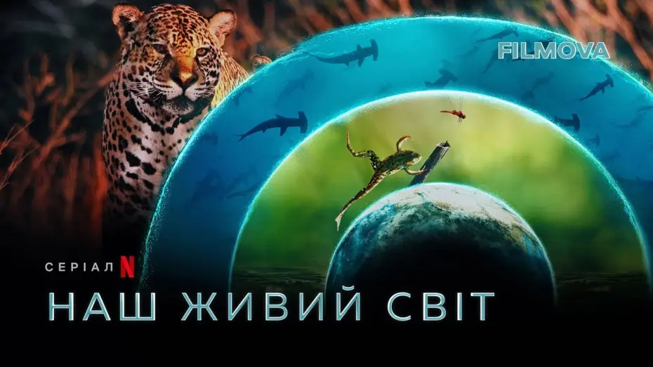 Video for the series Our Living World — Наш живий світ | Кейт Бланшетт | Український дубльований трейлер | Netflix