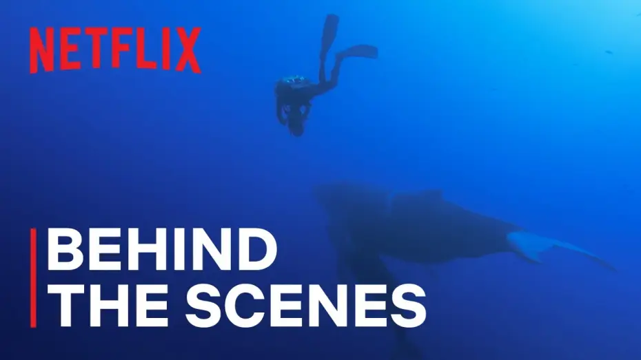 Video for the series Our Oceans — Filming Magnificent Humpback Whales