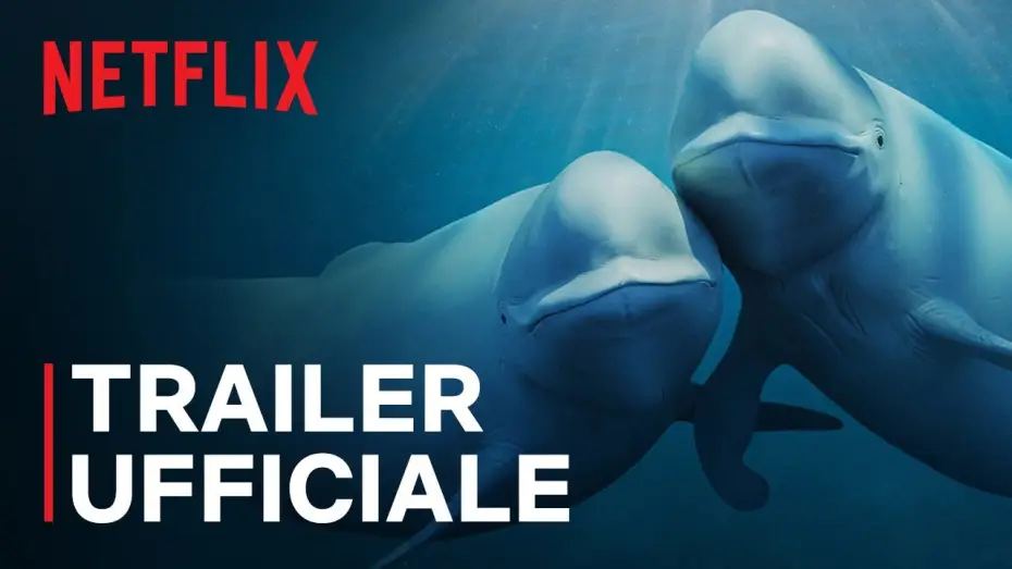 Video for the series Our Oceans — Trailer ufficiale [Sottotitolato]