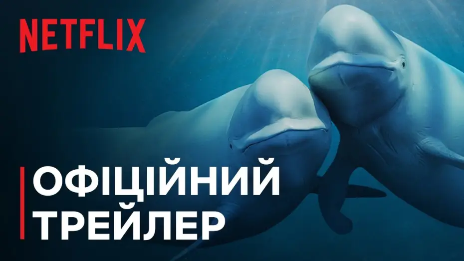 Video for the series Our Oceans — Офіційний трейлер [Субтитри]