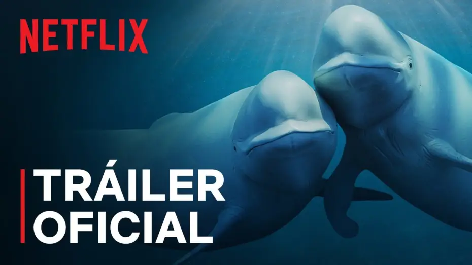 Video for the series Our Oceans — Tráiler oficial [Subtitulado]