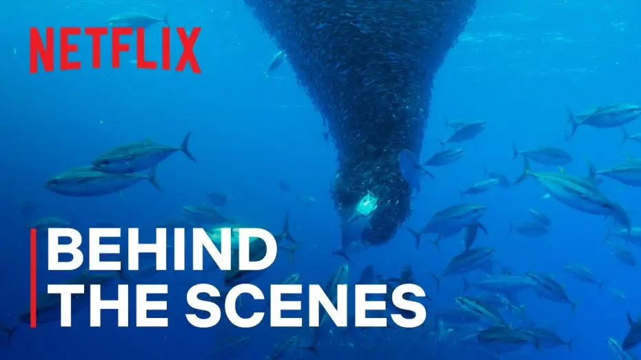 Video for the series Our Oceans — Fishnado!