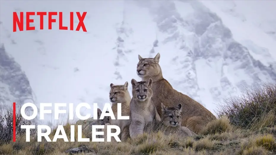Video for the series Predators — Official Netflix Trailer
