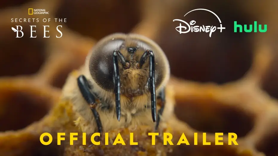 Video for the series Secrets of the Bees — Official Trailer