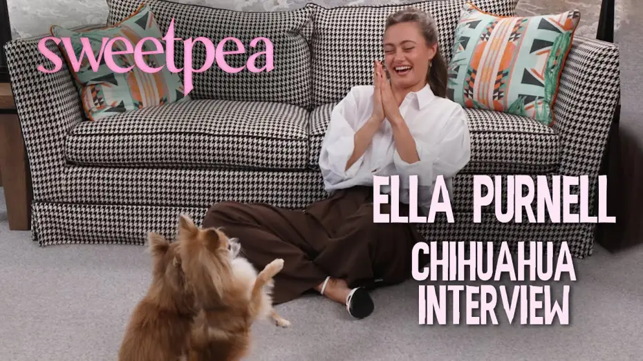 Video for the series Sweetpea — Ella Purnell's CHAOTIC interview with Chihuahuas