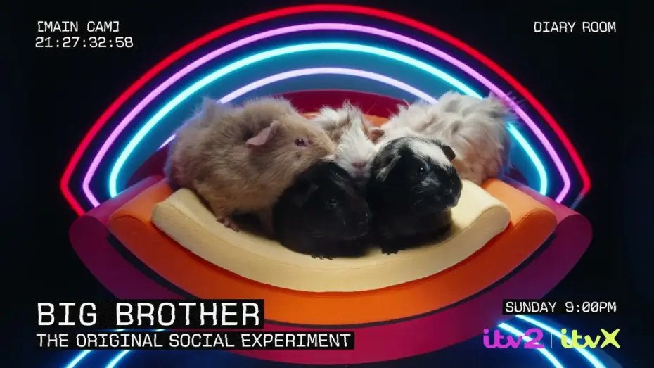 Video for the series Big Brother — Brand New Big Brother UK returns to ITV2 | Sunday 6th October