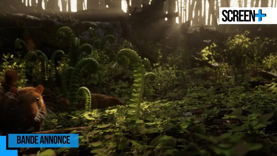 Video for the series Earth — Les 5 vies de la Terre sur France 5