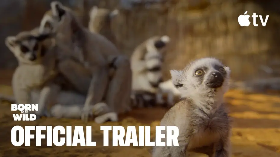 Video for the series Born to Be Wild — Official Trailer