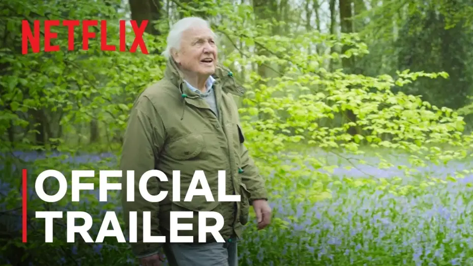 Video for the series Secret World of Sound — Netflix Official Trailer