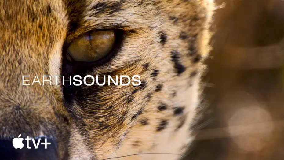 Video for the series Earthsounds — Official Trailer
