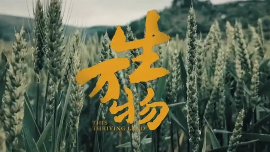 Video for the series This Thriving Land — 【DRAMA SERIES】THIS THRIVING LAND 生万物 TRAILER
