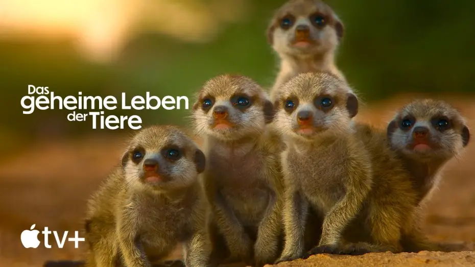 Video for the series The Secret Lives of Animals — Offizieller Trailer