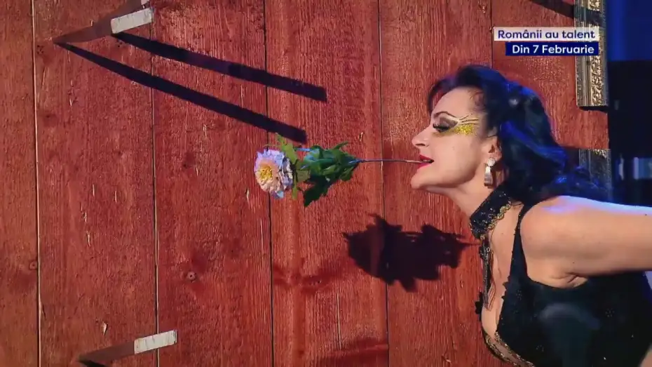 Video for the series Romania's Got Talent — Românii au talent, din 7 februarie la PRO TV