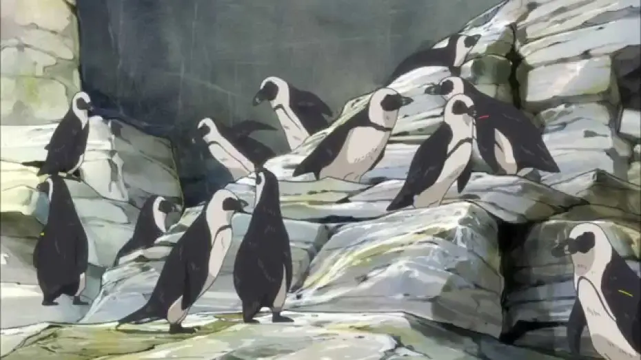 Видео к сериалу Penguindrum — Mawaru Penguindrum (Trailer)