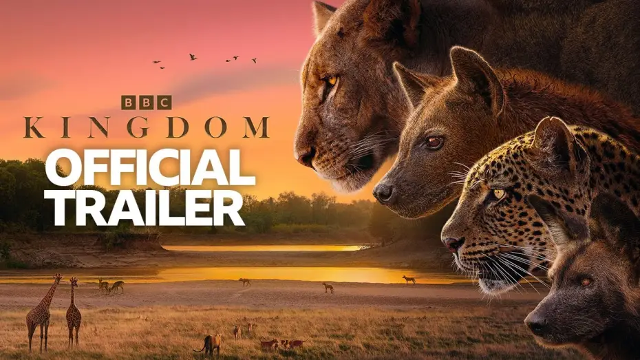 Video for the series Kingdom — Trailer