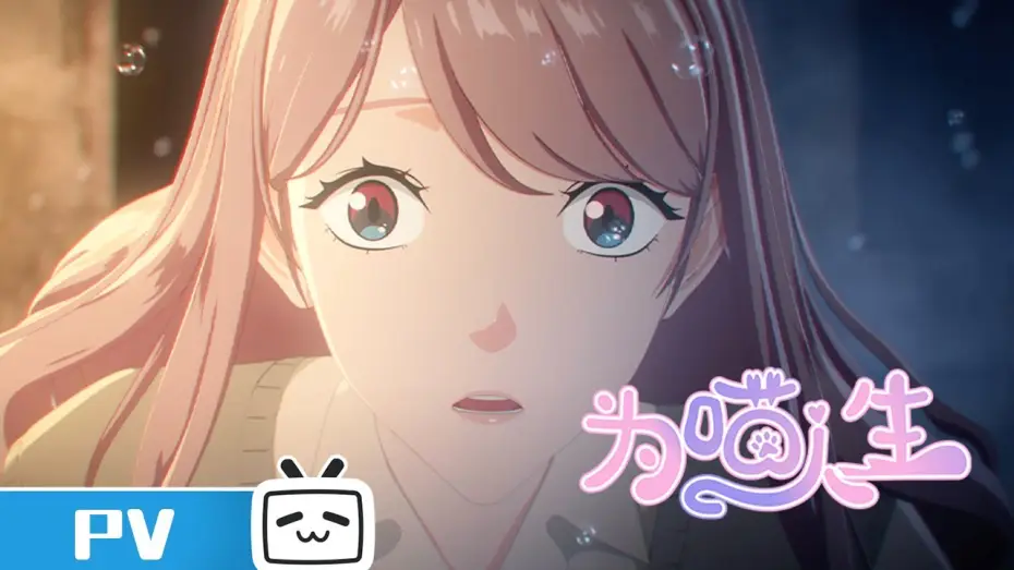 Video for the series Reborn as a Cat — 《为喵人生》 定档PV上线 | Made By Bilibili
