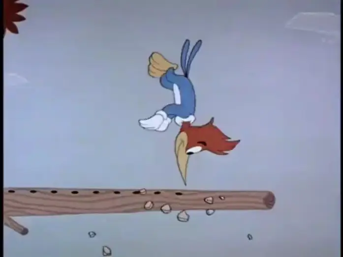 Video for the series The Woody Woodpecker Show — The Woody Woodpecker show 1960-1969