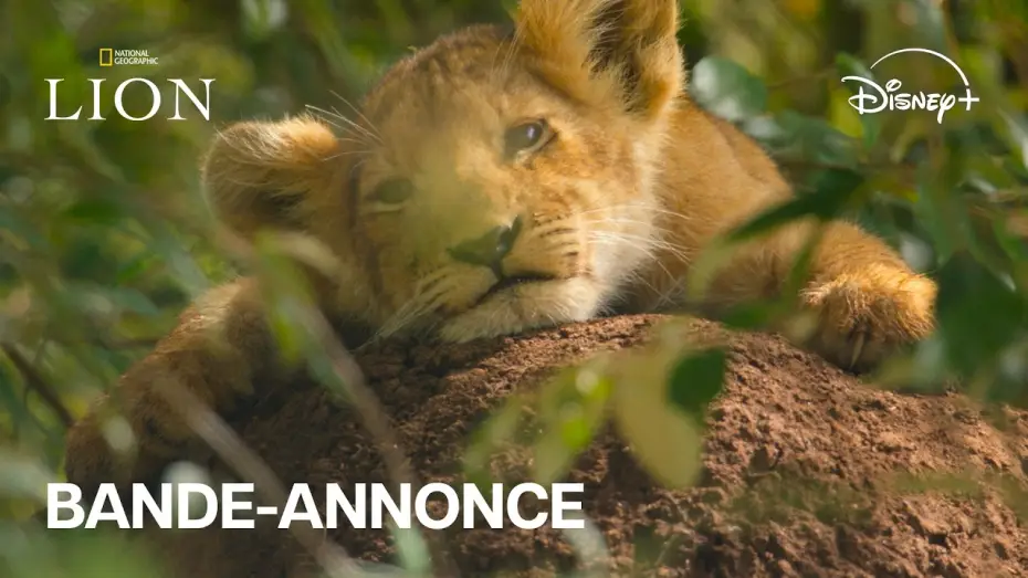 Video for the series Lion — Lion - Bande-annonce officielle (VF) l Disney+