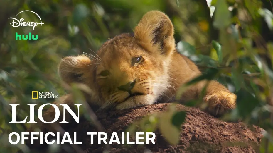 Video for the series Lion — Official Trailer