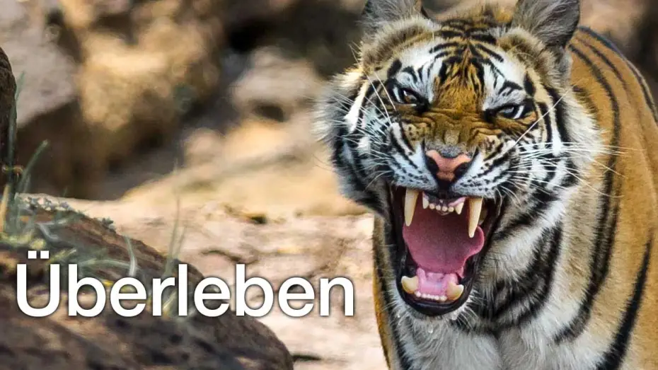 Video for the series Life Story — Überleben - Trailer [HD] Deutsch / German