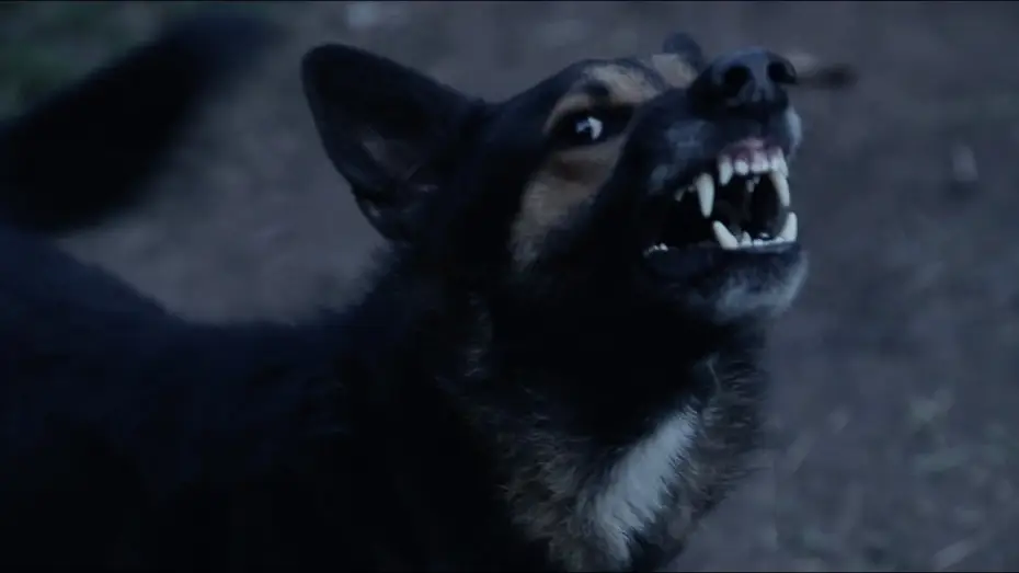 Video for the series Fear Thy Neighbor — FEAR THY NEIGHBOR 4x05 – "Pack Mentality" – Teaser