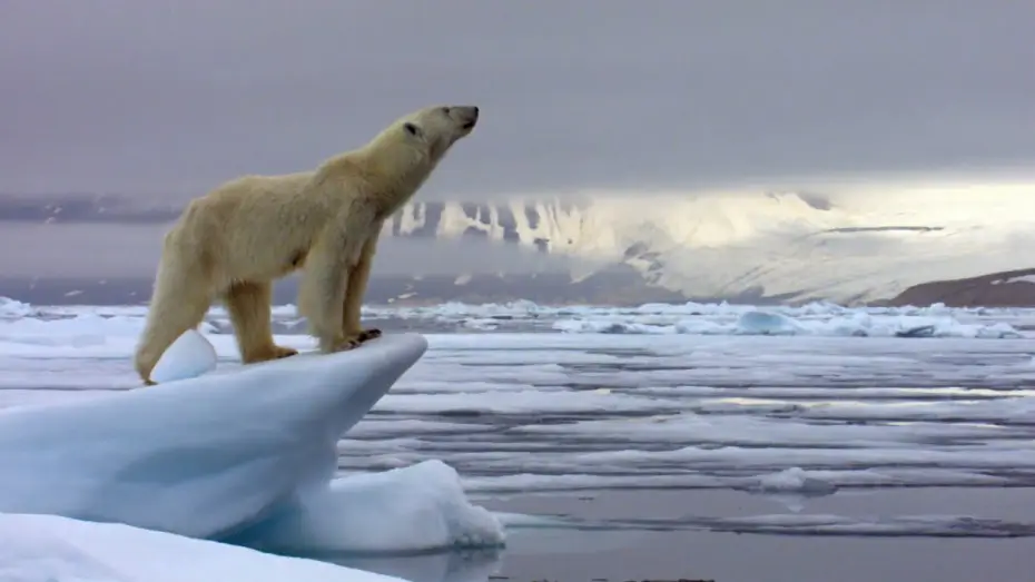Video for the series The Hunt — The Hunt: Trailer - BBC One