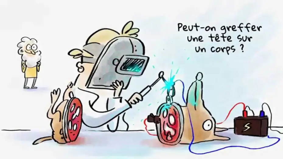 Video for the series How to Die Clever — Tu mourras moins bête [Teaser 1] La série / saison 1