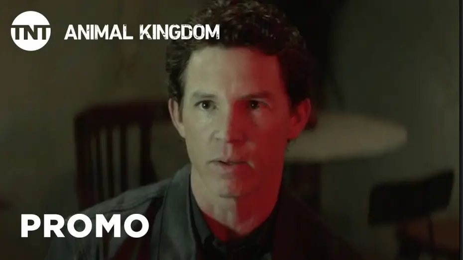 Video for the series Animal Kingdom — Animal Kingdom: Danger - Season 3 Premieres May 29 [PROMO] | TNT