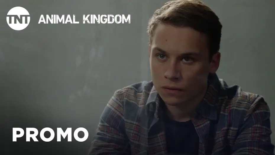 Video for the series Animal Kingdom — Animal Kingdom: Shock - Season 3 Premieres This Summer [PROMO] | TNT