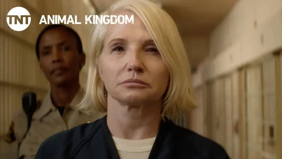 Video for the series Animal Kingdom — Animal Kingdom: Season 3 - Coming Soon [PROMO] | TNT
