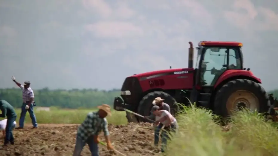 Video for the series Queen Sugar — Queen Sugar on OWN Premieres September 7th