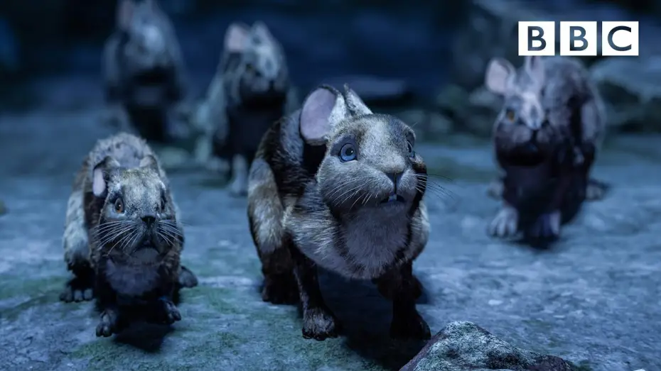 Video for the series Watership Down — Watership Down's brave rabbits make a daring escape - BBC