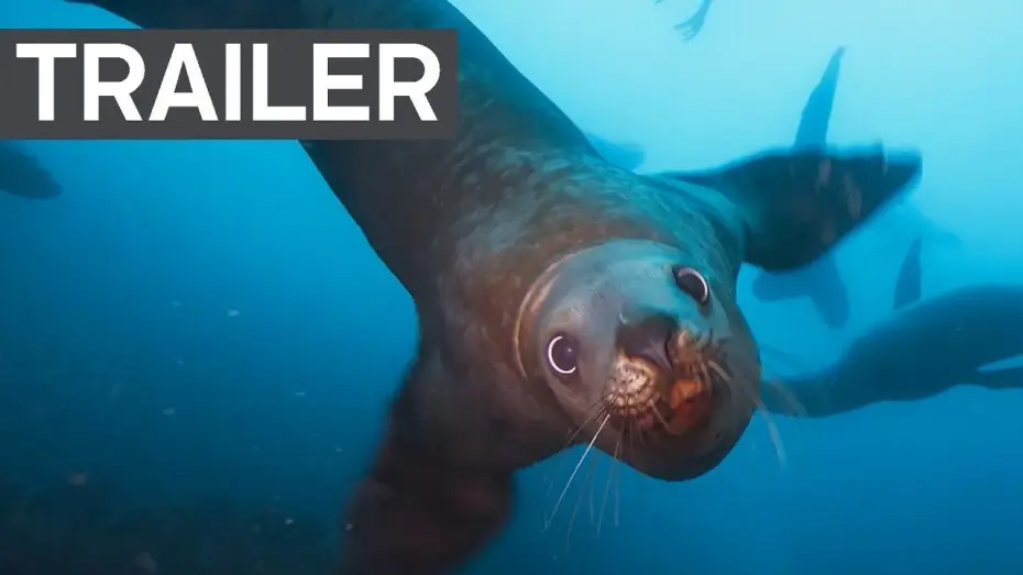 Видео к сериалу Planet Earth II — Blue Planet II Official Trailer 2 | BBC Earth