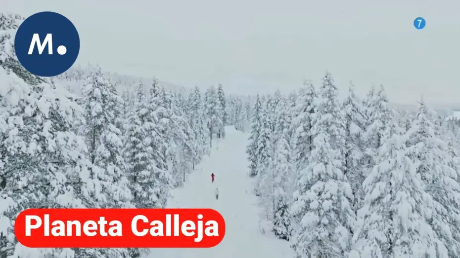 Video for the series Planeta Calleja — Palomo Spain viaja hasta Laponia en el próximo programa de 'Planeta Calleja' | Mediaset