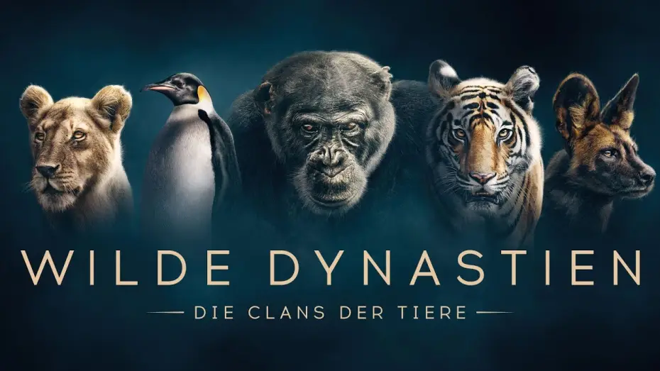 Видео к сериалу Dynasties — WILDE DYNASTIEN - Die Clans der Tiere - Trailer [HD] Deutsch / German