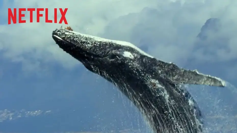 Video for the series Our Planet — Notre planète  - Bande Annonce [VF]