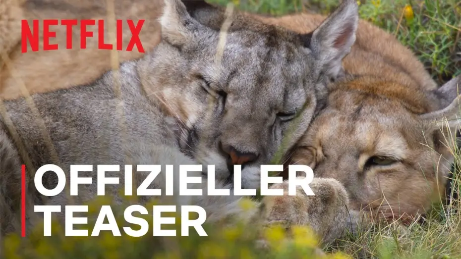 Video for the series Our Planet — Offizieller Teaser
