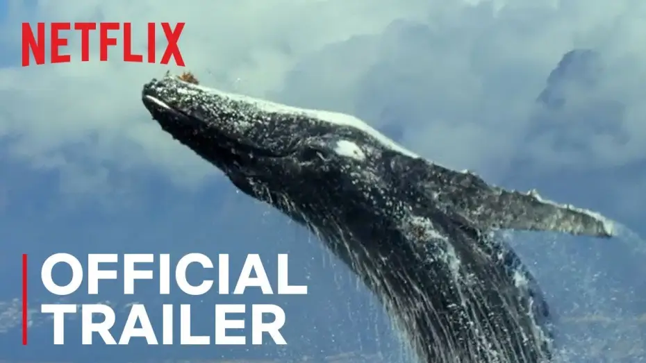 Video for the series Our Planet — Our Planet | Official Trailer [HD] | Netflix