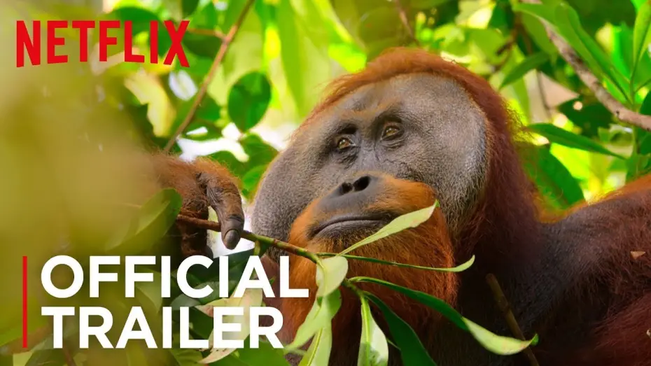 Video for the series Our Planet — Our Planet | Official Teaser [HD] | Netflix