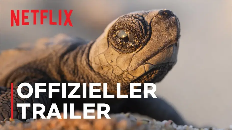Video for the series Our Planet — Offizieller Trailer
