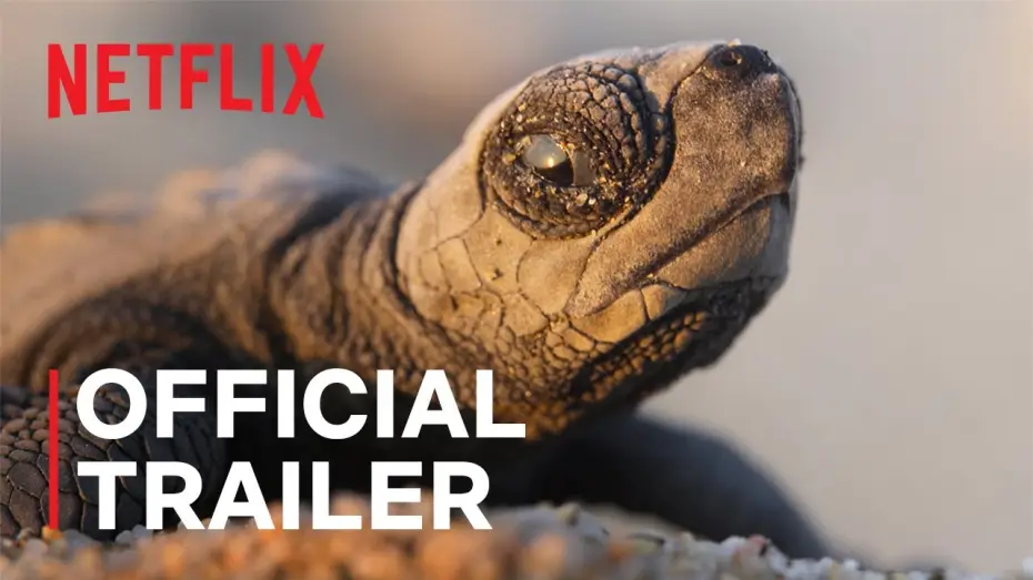 Video for the series Our Planet — Our Planet II — Our Planet II Official Trailer