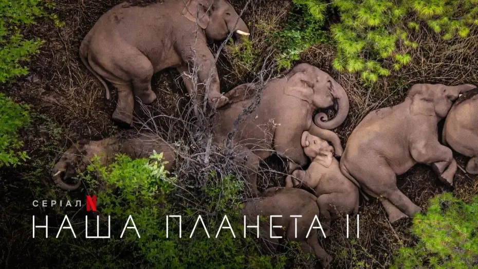 Video for the series Our Planet — Наша планета II | Офіційний український трейлер | Netflix