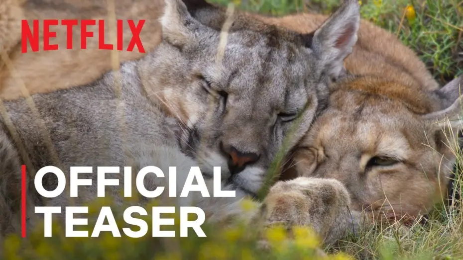 Video for the series Our Planet — Our Planet II Official Teaser