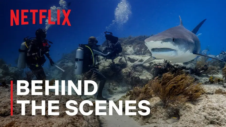 Video for the series Our Planet — Our Planet II Behind the Scenes