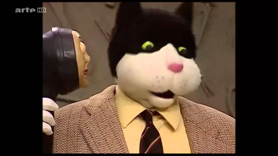Video for the series Telecat — Téléchat « Il y a beaucoup de choses qui ont deux trous, quand on les regarde bien »