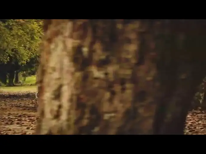 Видео к сериалу Old River — Trailer Velho Chico  (2016)