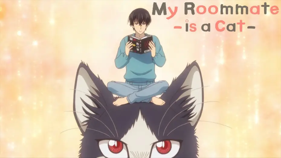Video for the series My Roommate is a Cat — Opening | Unknown World - Schrödinger's Cat and Kotringo