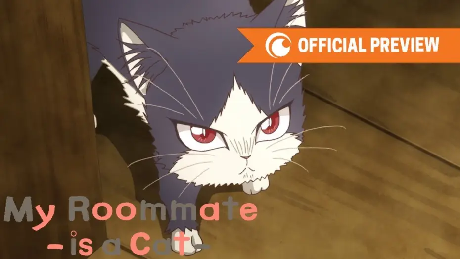 Video for the series My Roommate is a Cat — My Roommate is a Cat | OFFICIAL PREVIEW
